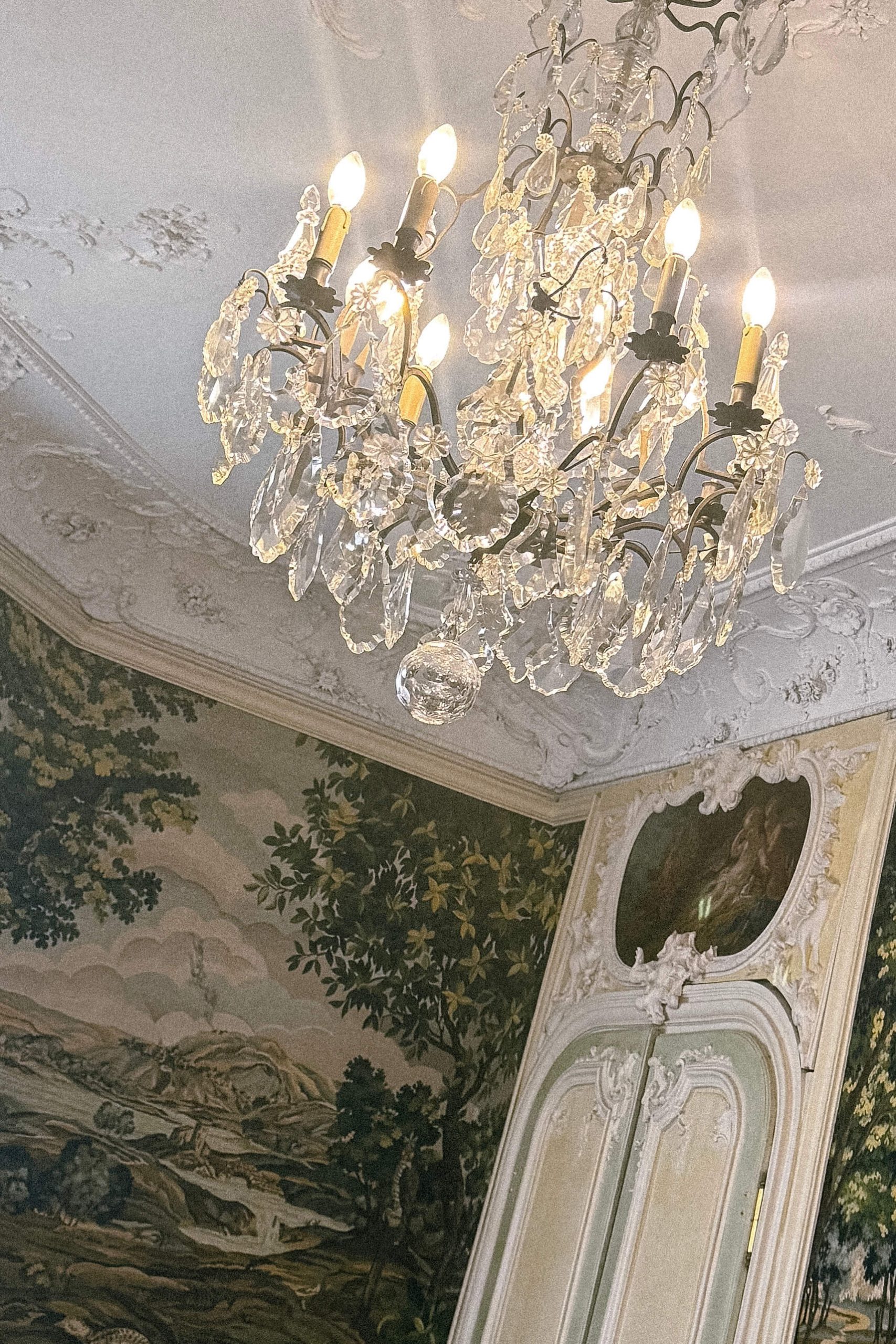 IMG_2733_jpg_optimiert