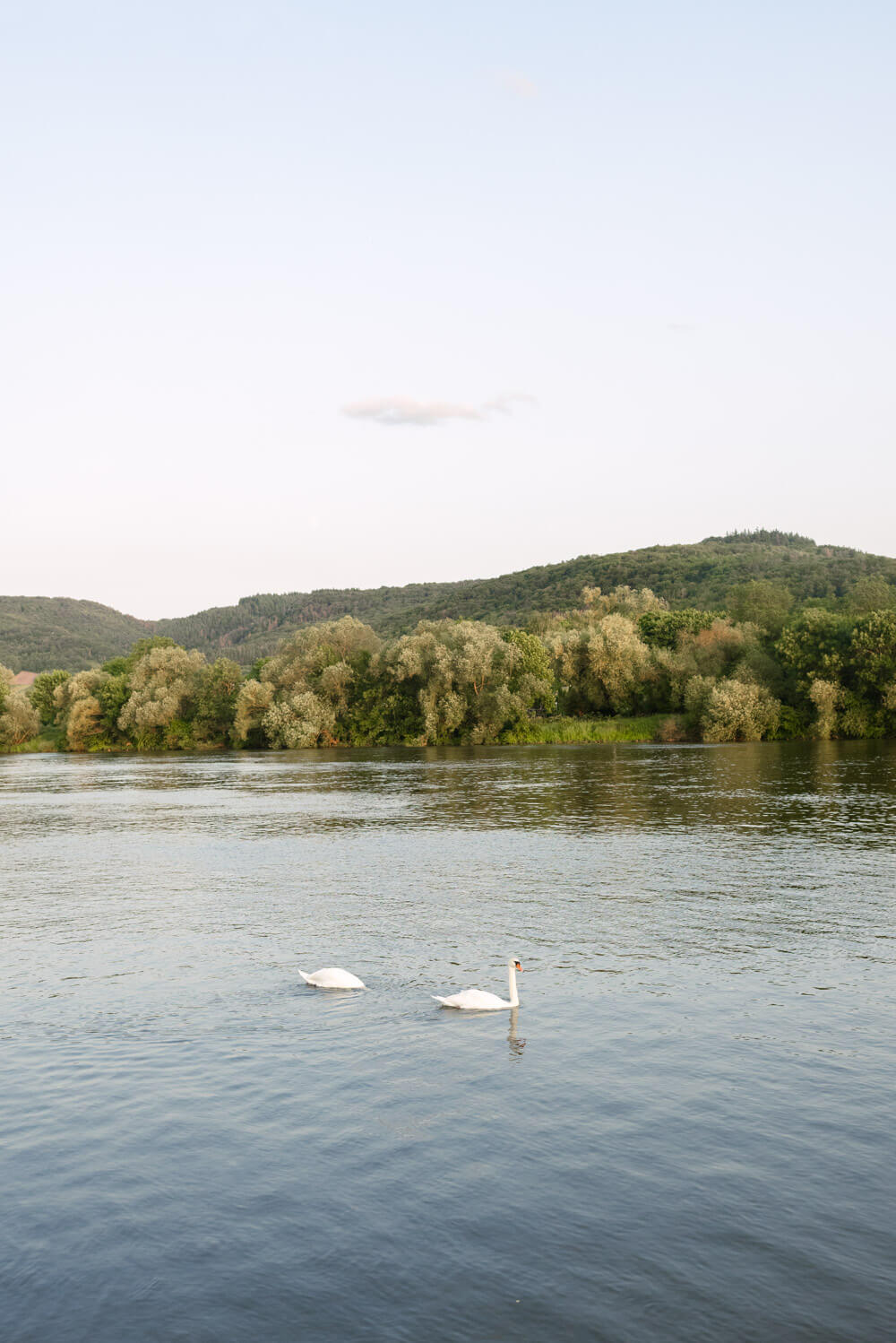StyledShootSchlossLieser_Website-7